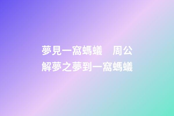 夢見一窩螞蟻　周公解夢之夢到一窩螞蟻